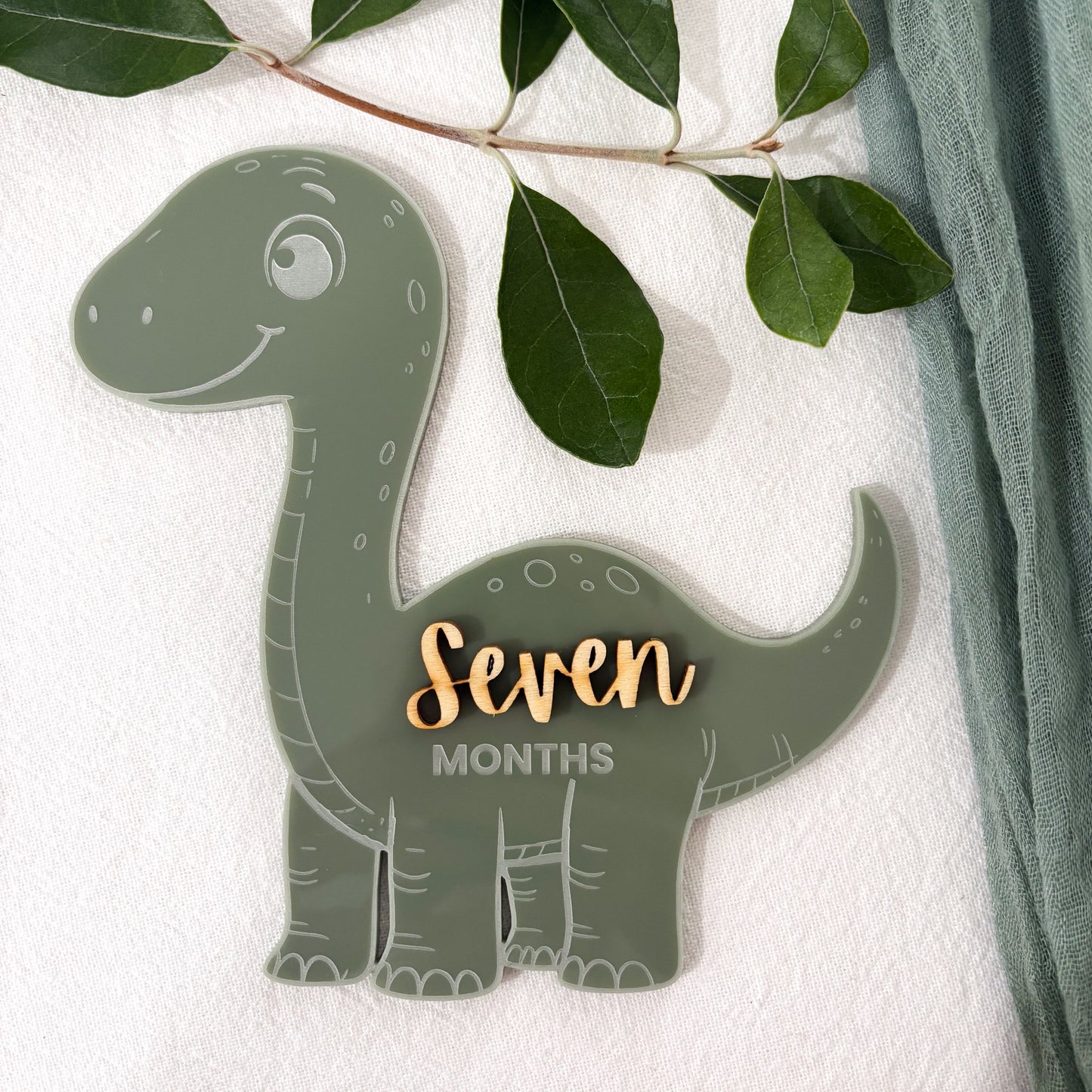 Dinosaur Baby Milestone Photo Sign - Photo Prop - Baby Sign