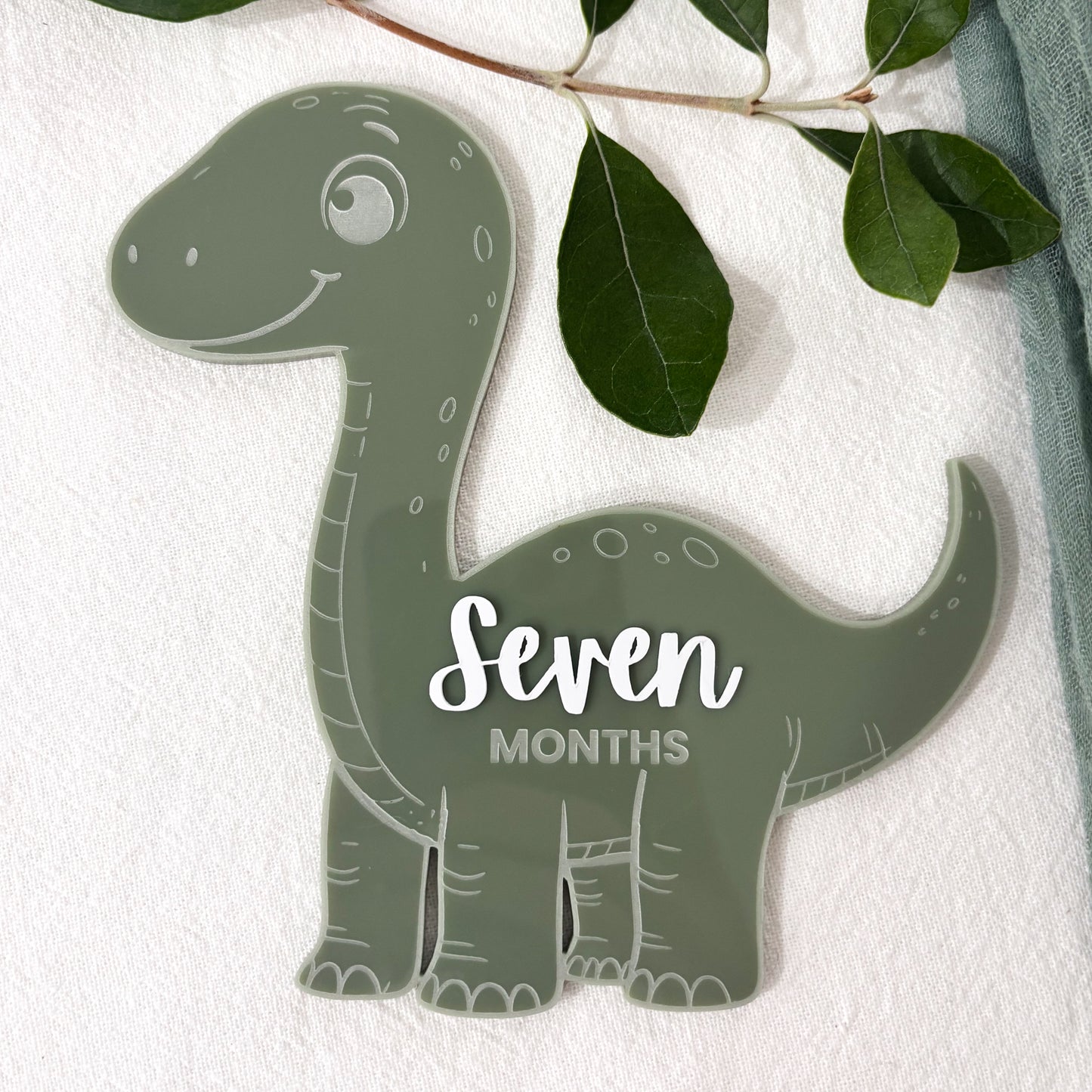 Dinosaur Baby Milestone Photo Sign - Photo Prop - Baby Sign