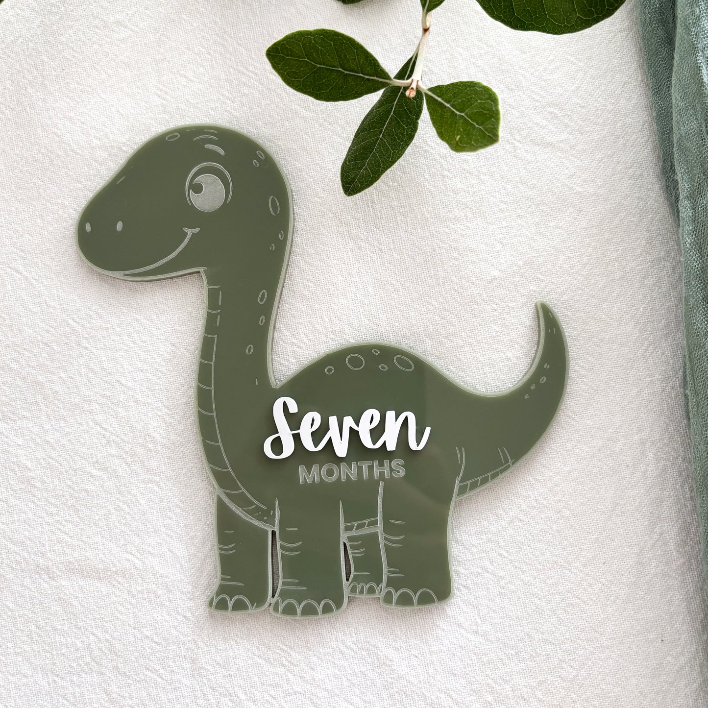 Dinosaur Baby Milestone Photo Sign - Photo Prop - Baby Sign
