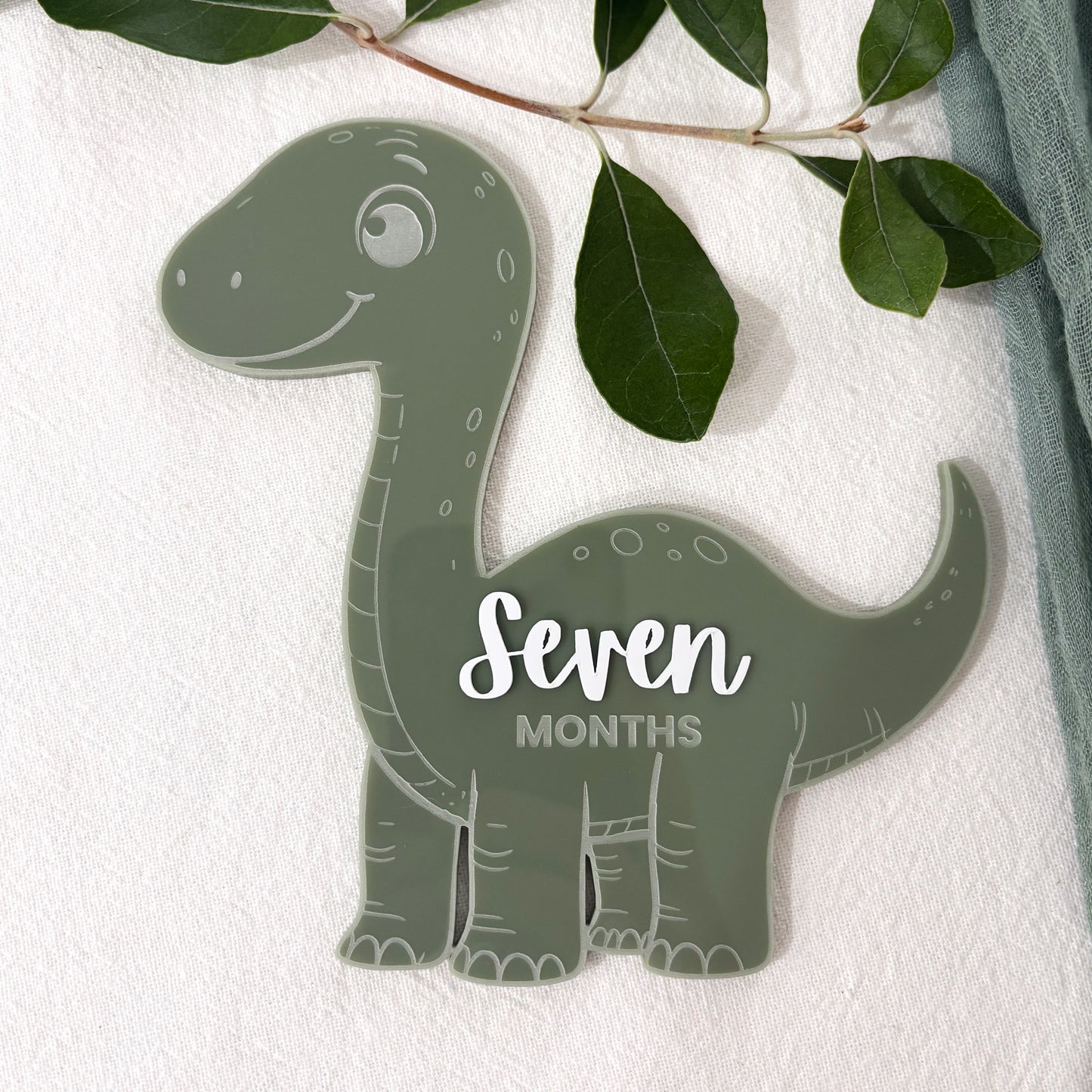 Dinosaur Baby Milestone Photo Sign - Photo Prop - Baby Sign