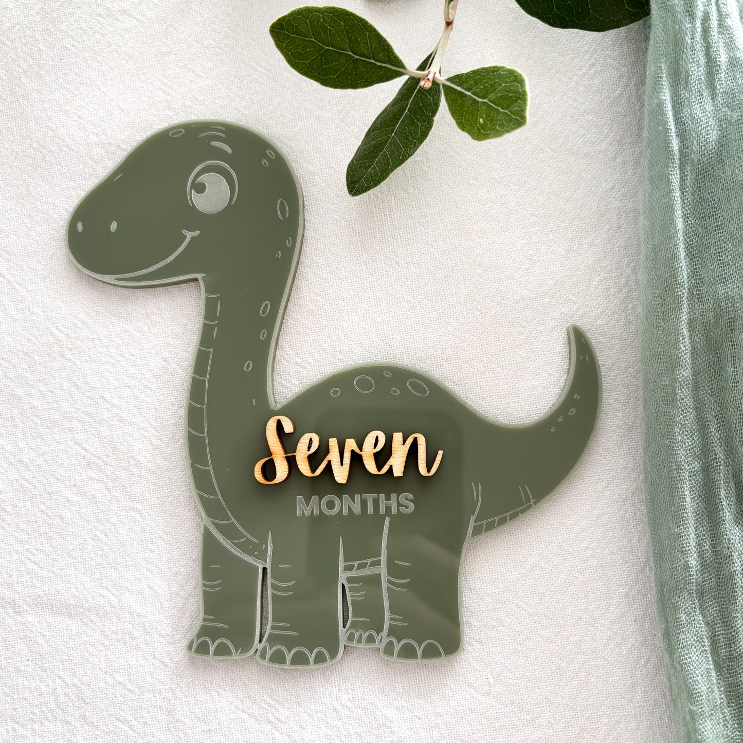 Dinosaur Baby Milestone Photo Sign - Photo Prop - Baby Sign