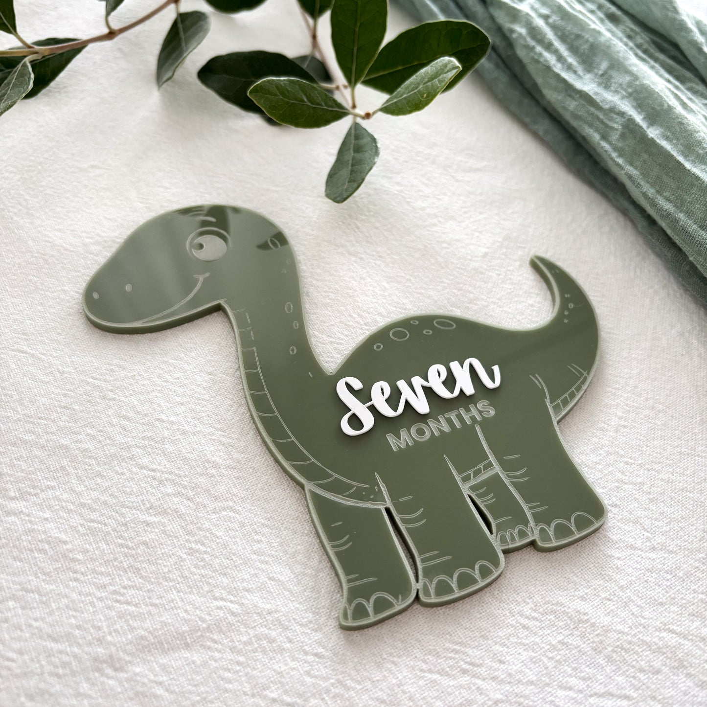 Dinosaur Baby Milestone Photo Sign - Photo Prop - Baby Sign