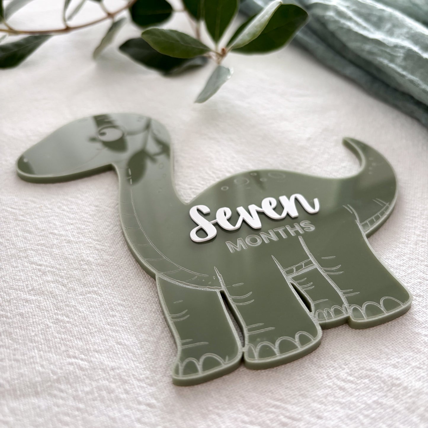Dinosaur Baby Milestone Photo Sign - Photo Prop - Baby Sign
