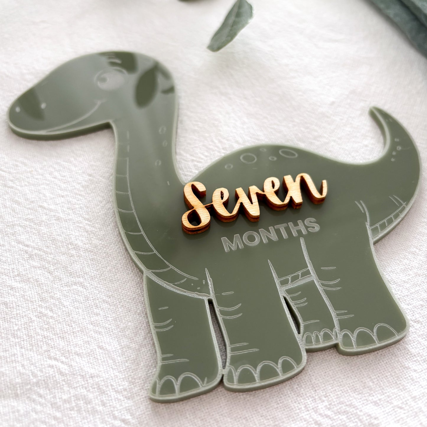 Dinosaur Baby Milestone Photo Sign - Photo Prop - Baby Sign