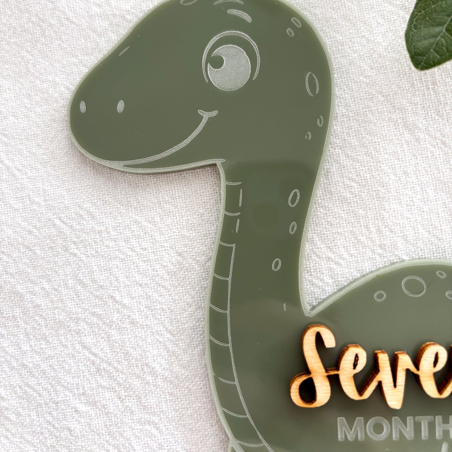 Dinosaur Baby Milestone Photo Sign - Photo Prop - Baby Sign