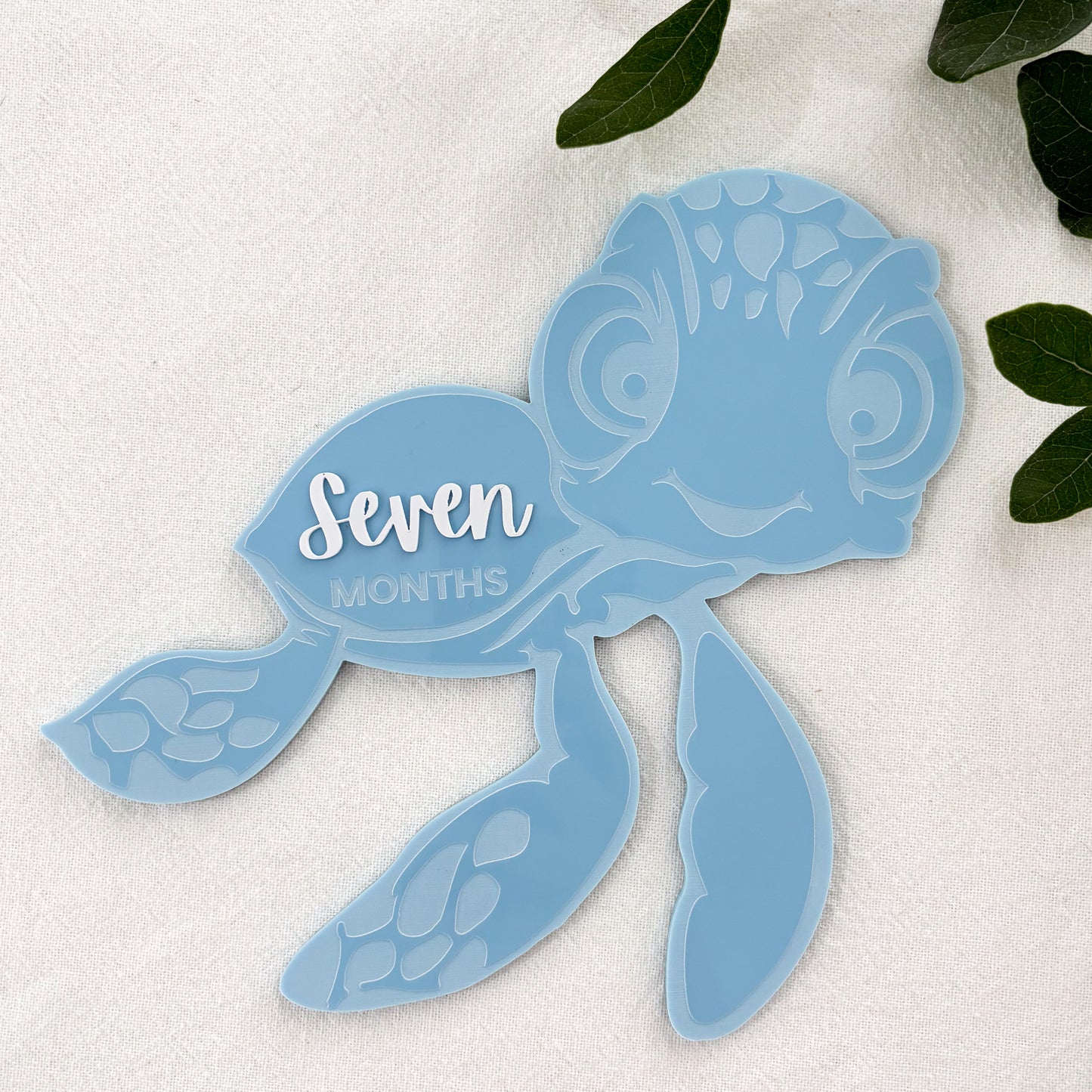Turtle Baby Milestone Photo Sign - Photo Prop - Baby Sign