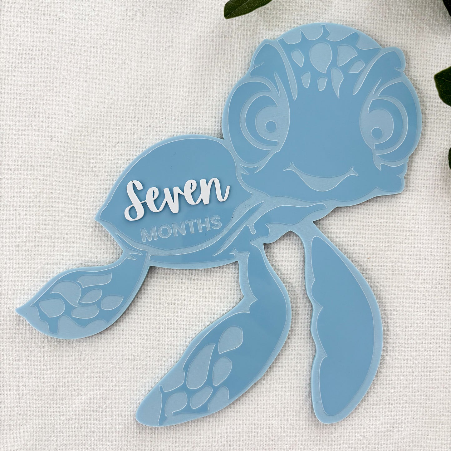 Turtle Baby Milestone Photo Sign - Photo Prop - Baby Sign