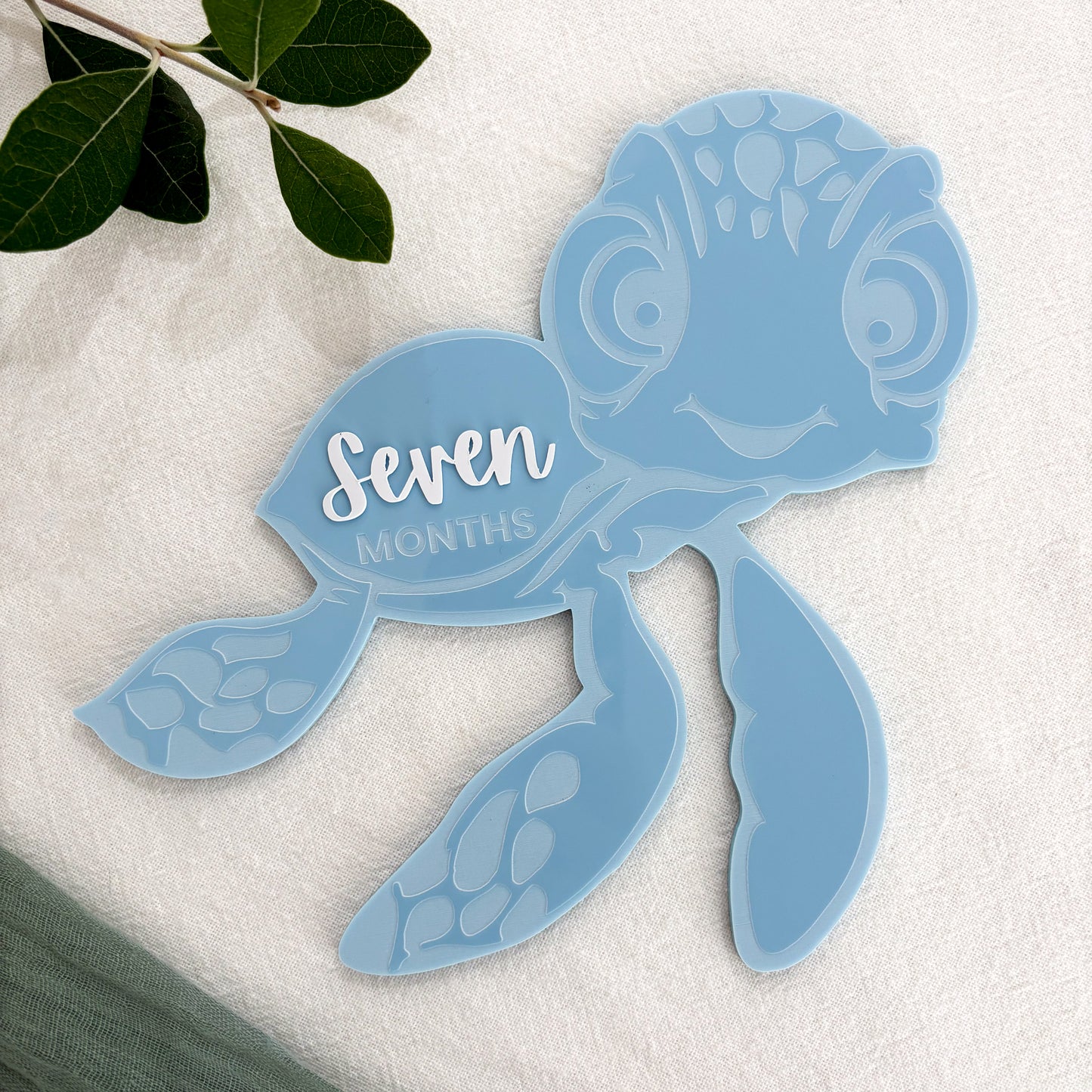 Turtle Baby Milestone Photo Sign - Photo Prop - Baby Sign