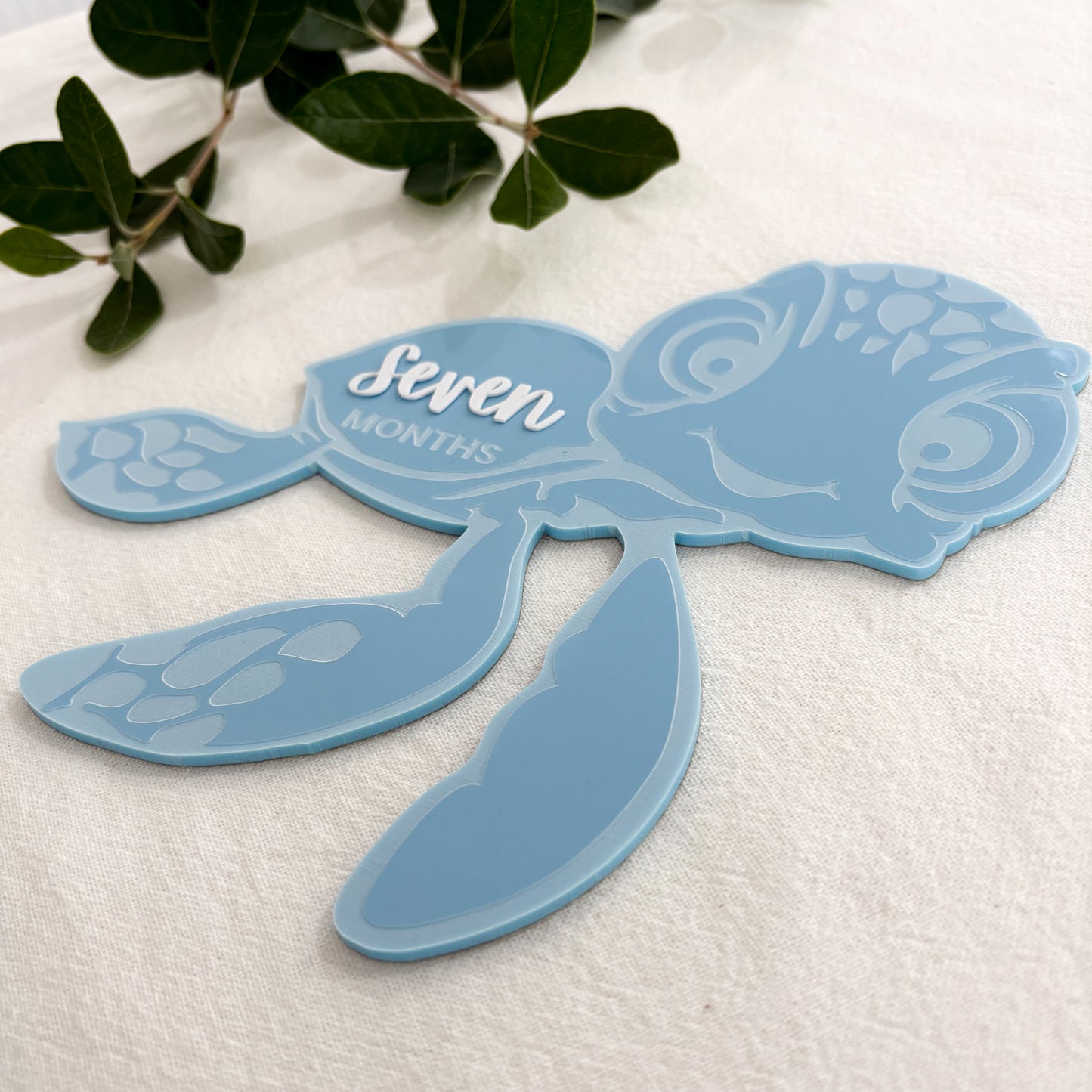 Turtle Baby Milestone Photo Sign - Photo Prop - Baby Sign