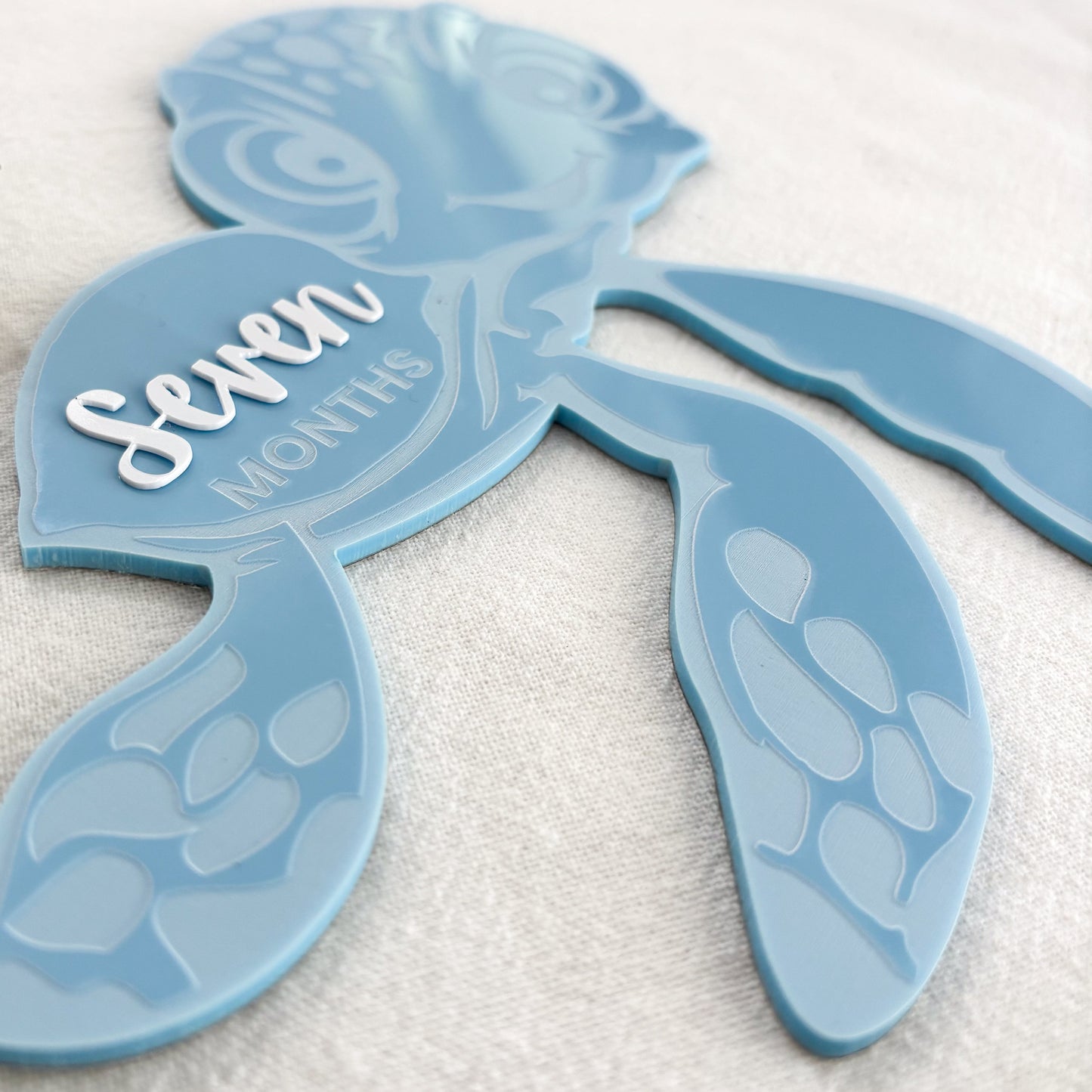 Turtle Baby Milestone Photo Sign - Photo Prop - Baby Sign