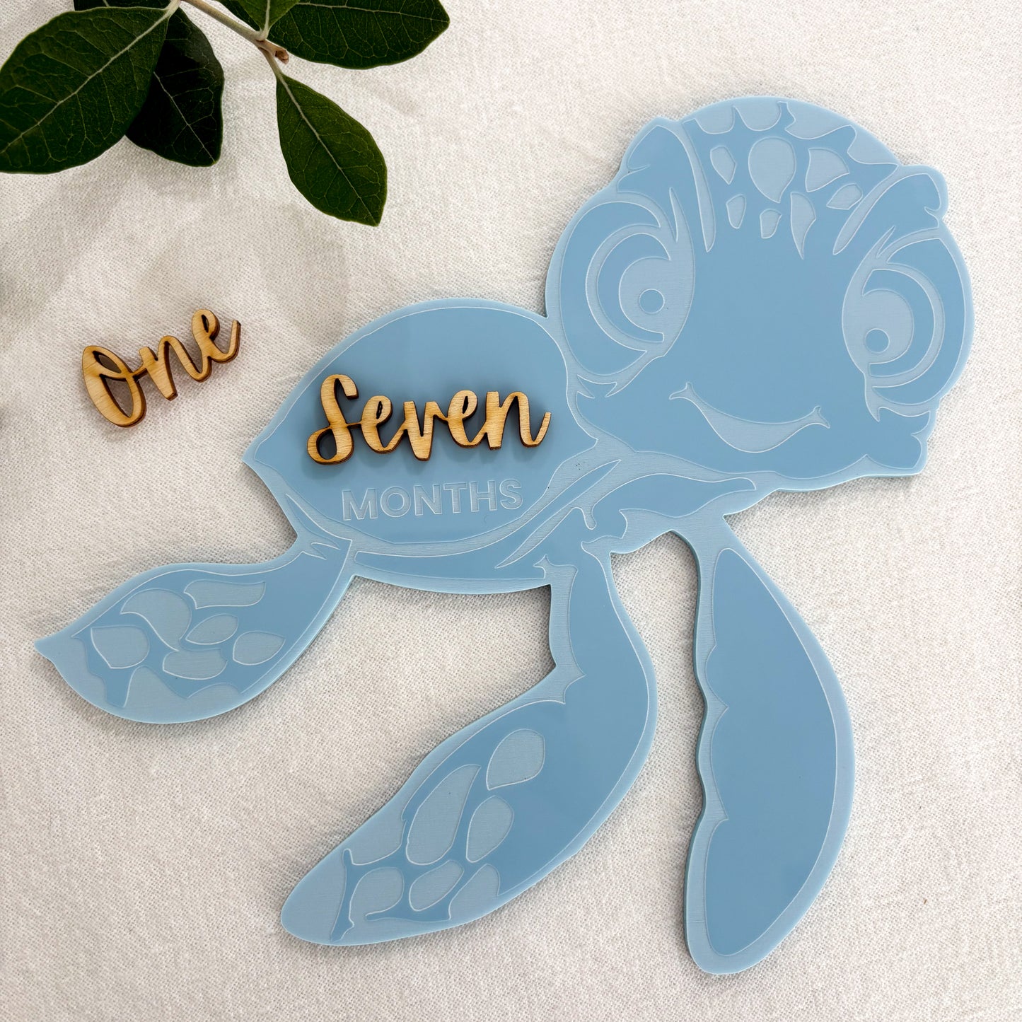 Turtle Baby Milestone Photo Sign - Photo Prop - Baby Sign