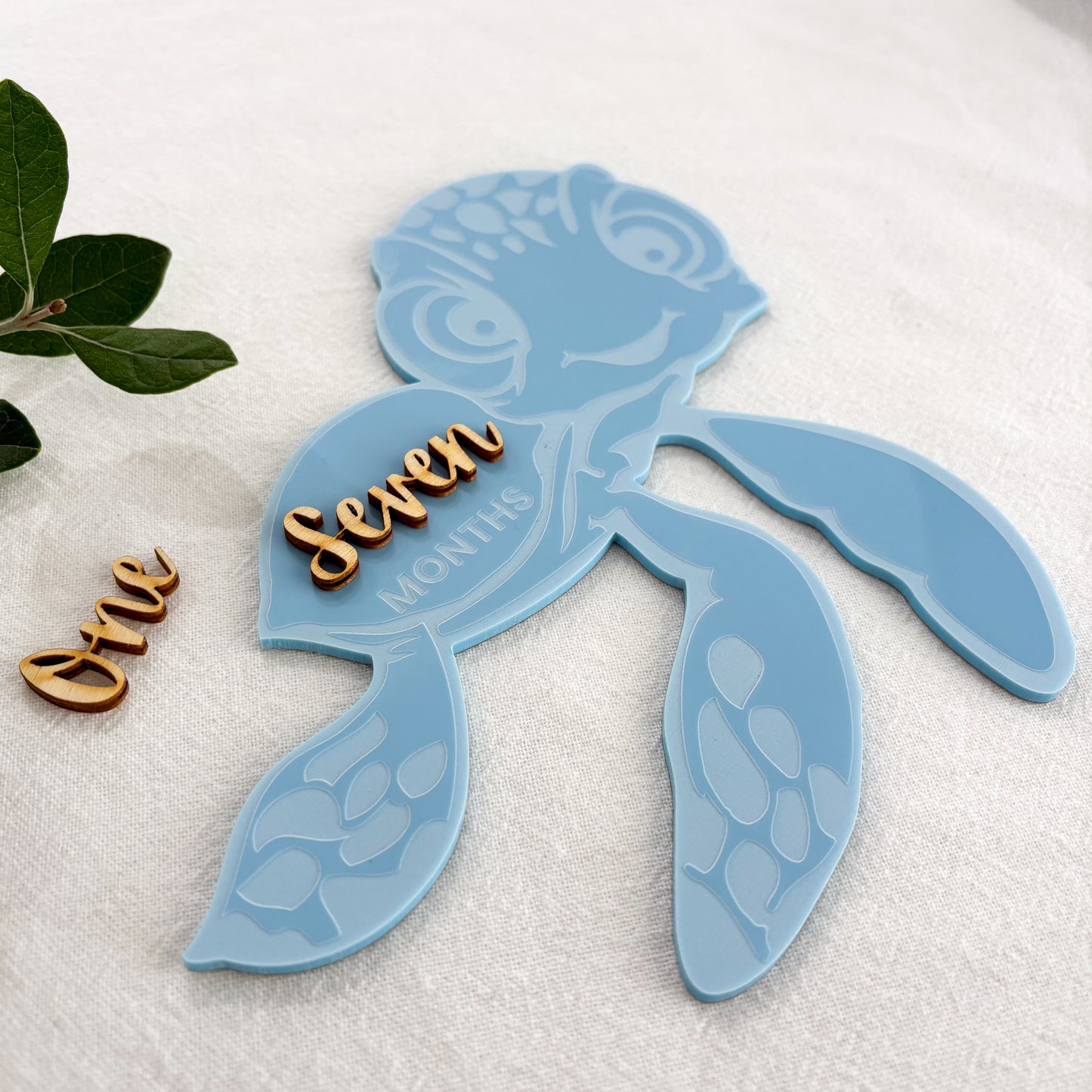 Turtle Baby Milestone Photo Sign - Photo Prop - Baby Sign