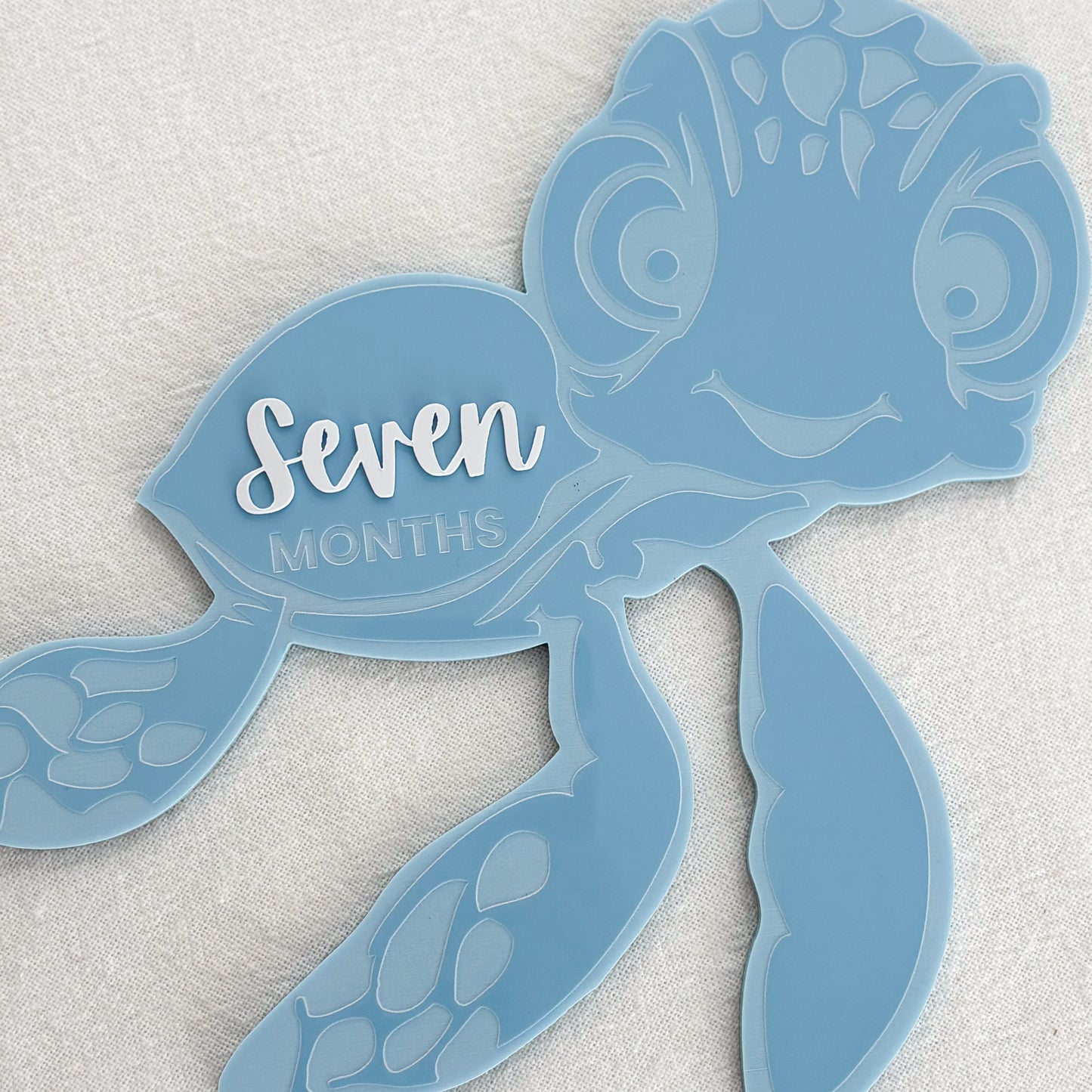 Turtle Baby Milestone Photo Sign - Photo Prop - Baby Sign