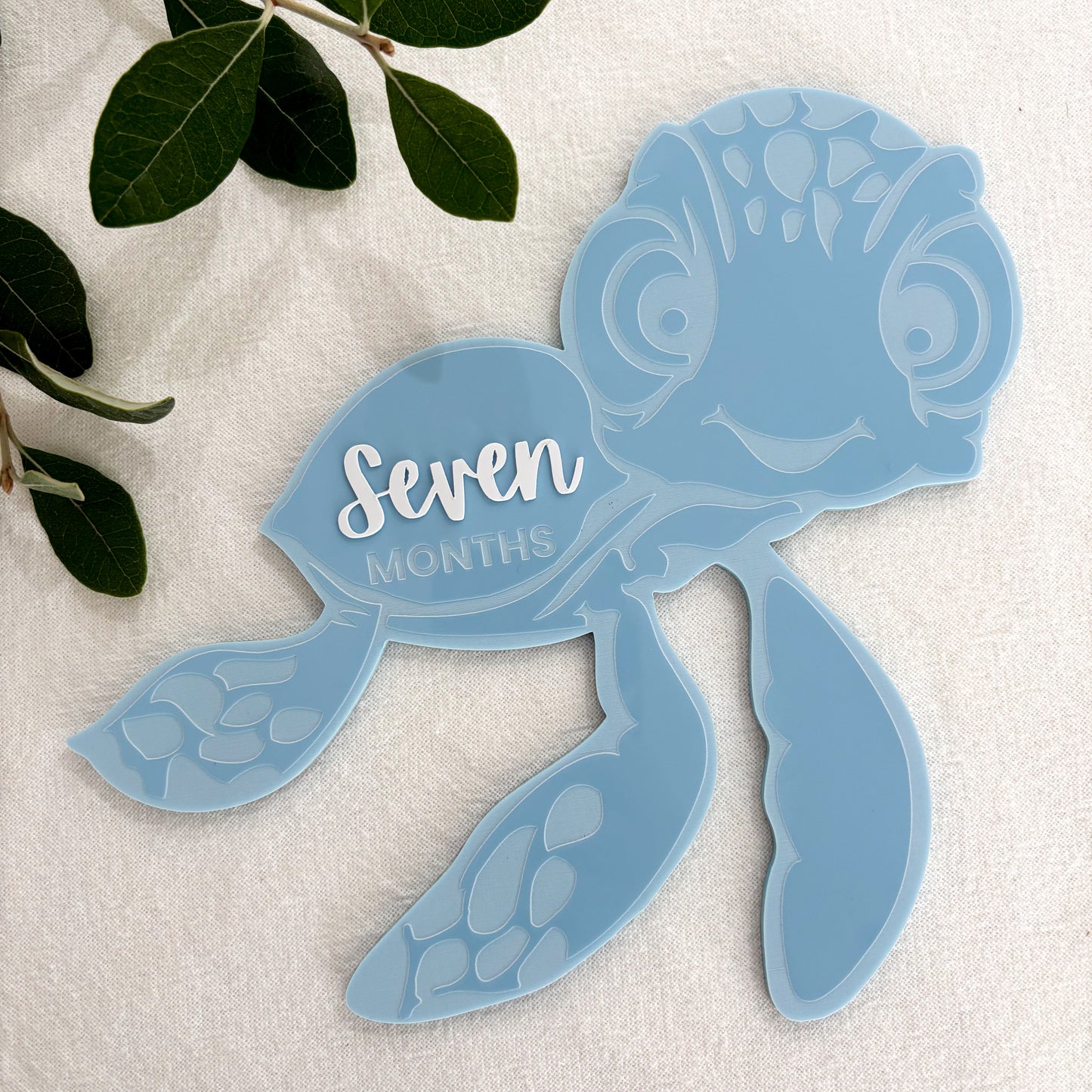 Turtle Baby Milestone Photo Sign - Photo Prop - Baby Sign