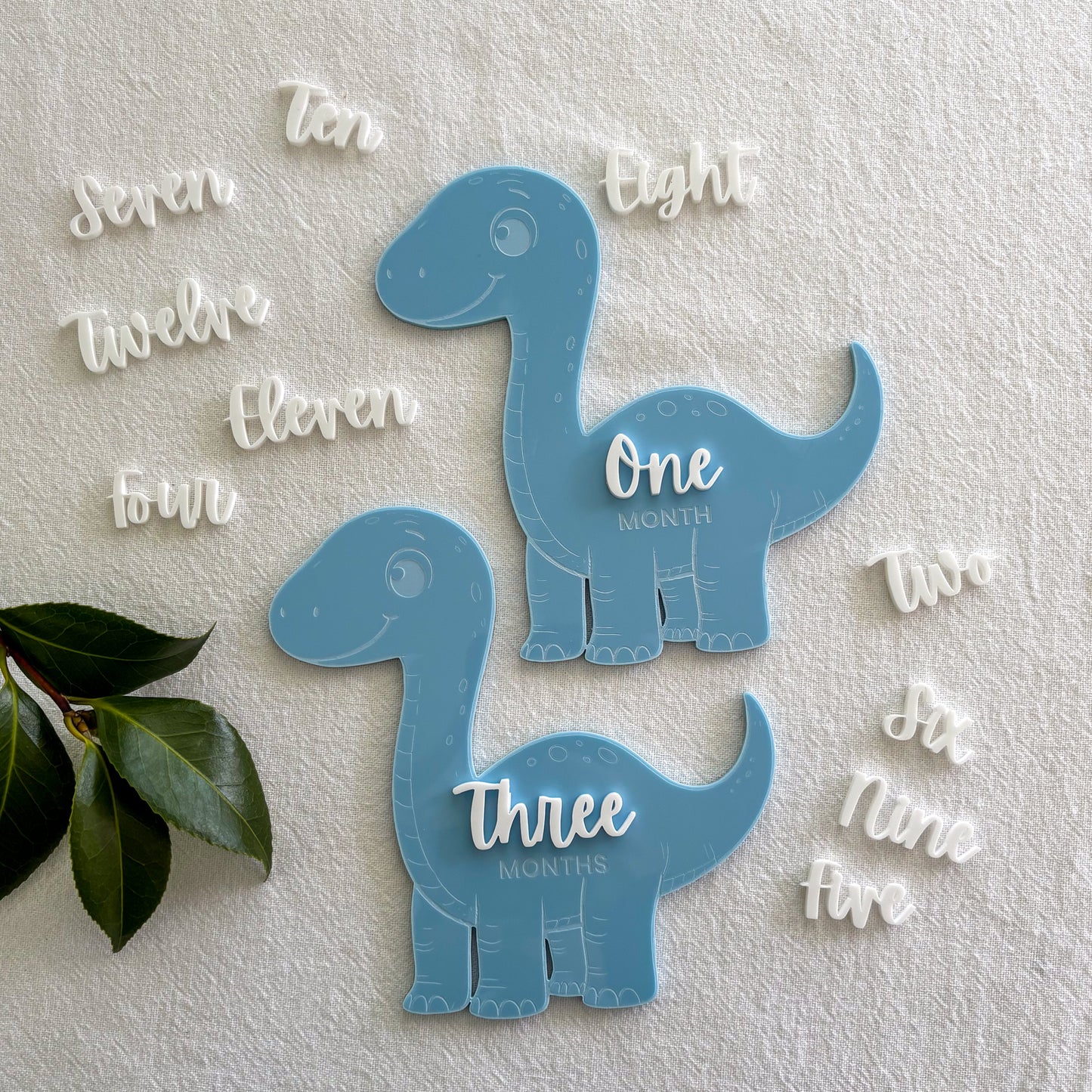 Blue Dinosaur Baby Milestone Photo Sign - Photo Prop - Baby Sign