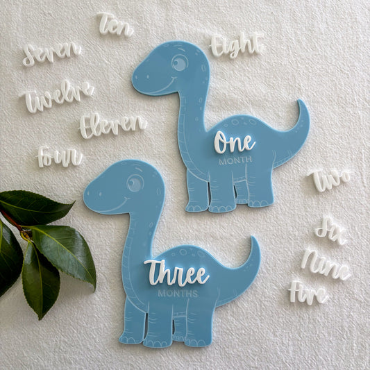 Blue Dinosaur Baby Milestone Photo Sign - Photo Prop - Baby Sign