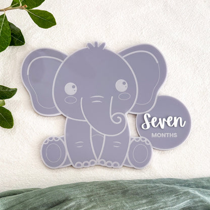 Elephant Baby Milestone Photo Sign - Photo Prop - Baby Sign