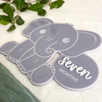 Elephant Baby Milestone Photo Sign - Photo Prop - Baby Sign