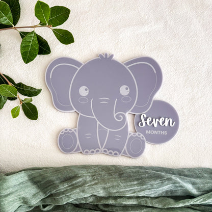 Elephant Baby Milestone Photo Sign - Photo Prop - Baby Sign