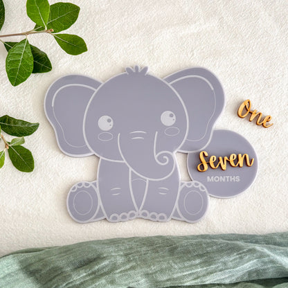 Elephant Baby Milestone Photo Sign - Photo Prop - Baby Sign