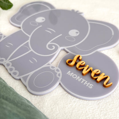Elephant Baby Milestone Photo Sign - Photo Prop - Baby Sign