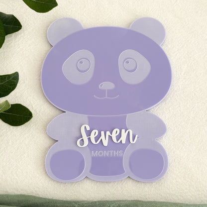 Panda Baby Milestone Photo Sign - Photo Prop - Baby Sign