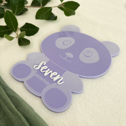 Panda Baby Milestone Photo Sign - Photo Prop - Baby Sign