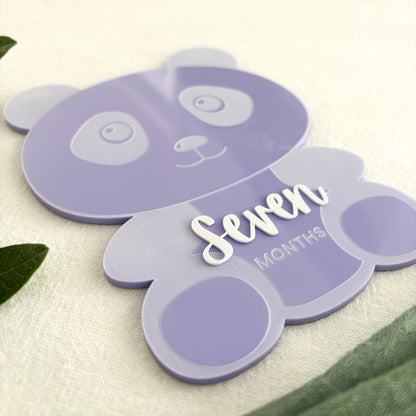 Panda Baby Milestone Photo Sign - Photo Prop - Baby Sign