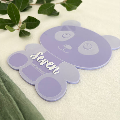 Panda Baby Milestone Photo Sign - Photo Prop - Baby Sign