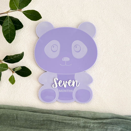 Panda Baby Milestone Photo Sign - Photo Prop - Baby Sign