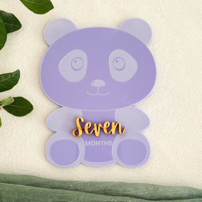 Panda Baby Milestone Photo Sign - Photo Prop - Baby Sign